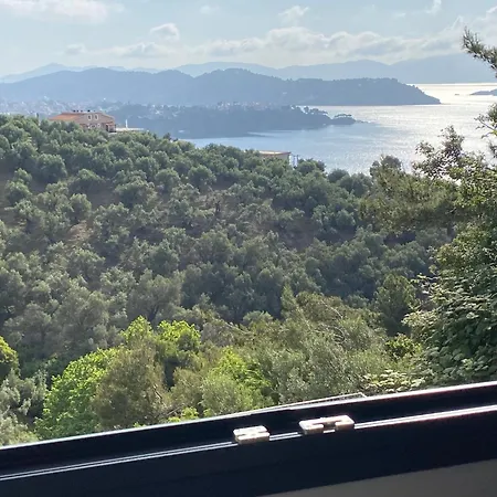 Cactus Suberb With Private Pool Achladies (Skiathos)