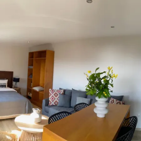 Cactus Suberb With Private Pool Daire *