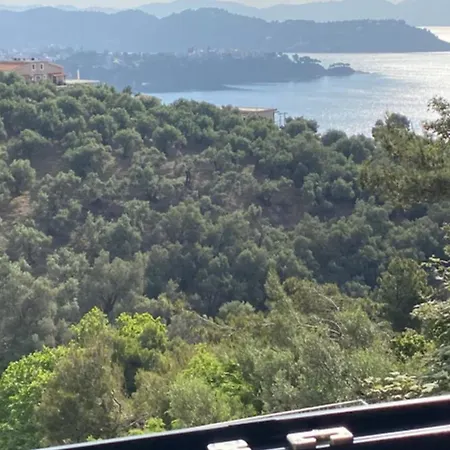 Daire Cactus Suberb With Private Pool Achladies (Skiathos)