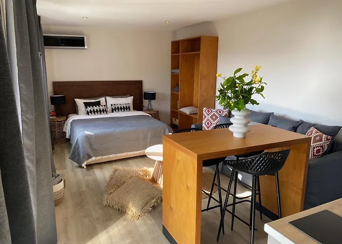 Cactus Suberb With Private Pool Apartment Achladies (Skiathos)