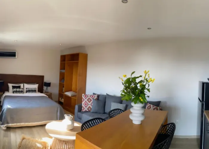 Cactus Suberb With Private Pool Apartment *