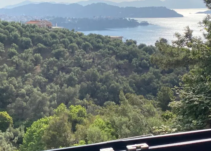 Apartment Cactus Suberb With Private Pool Achladies (Skiathos)